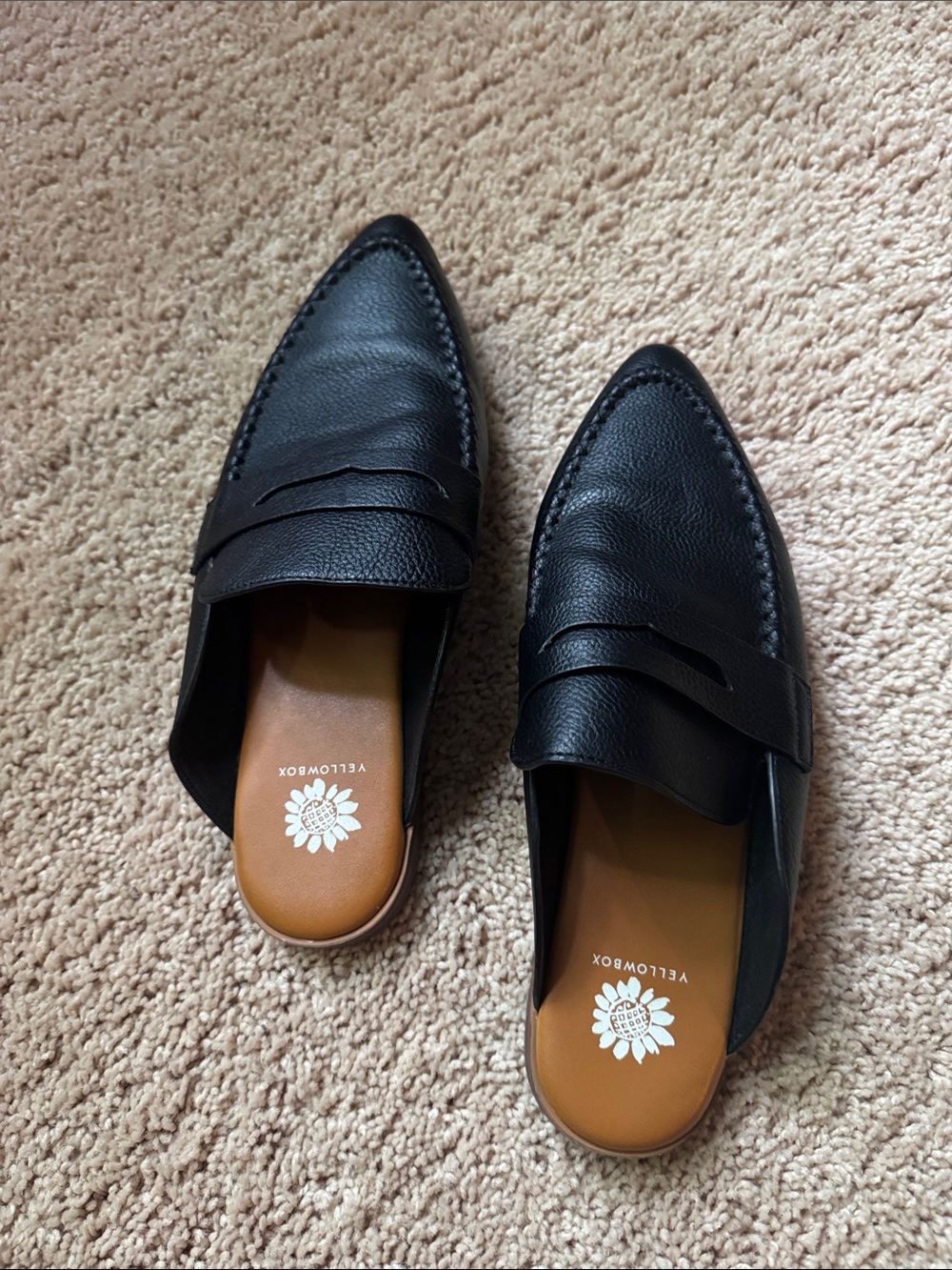Yellow Box Men’s Black Leather Pointed Penny Loafers